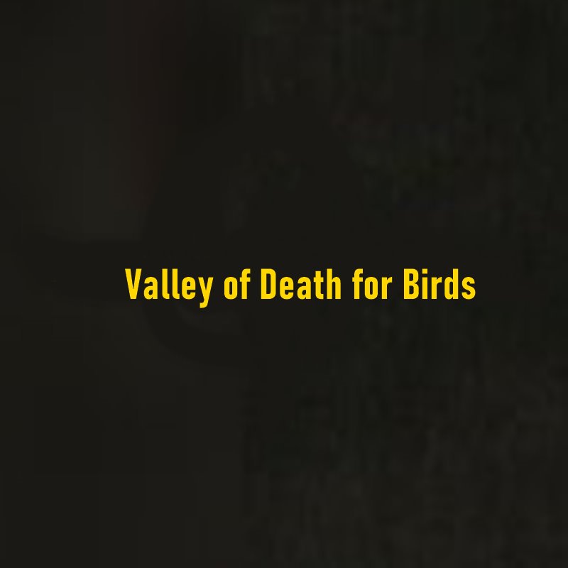 Valley of Death for Birds