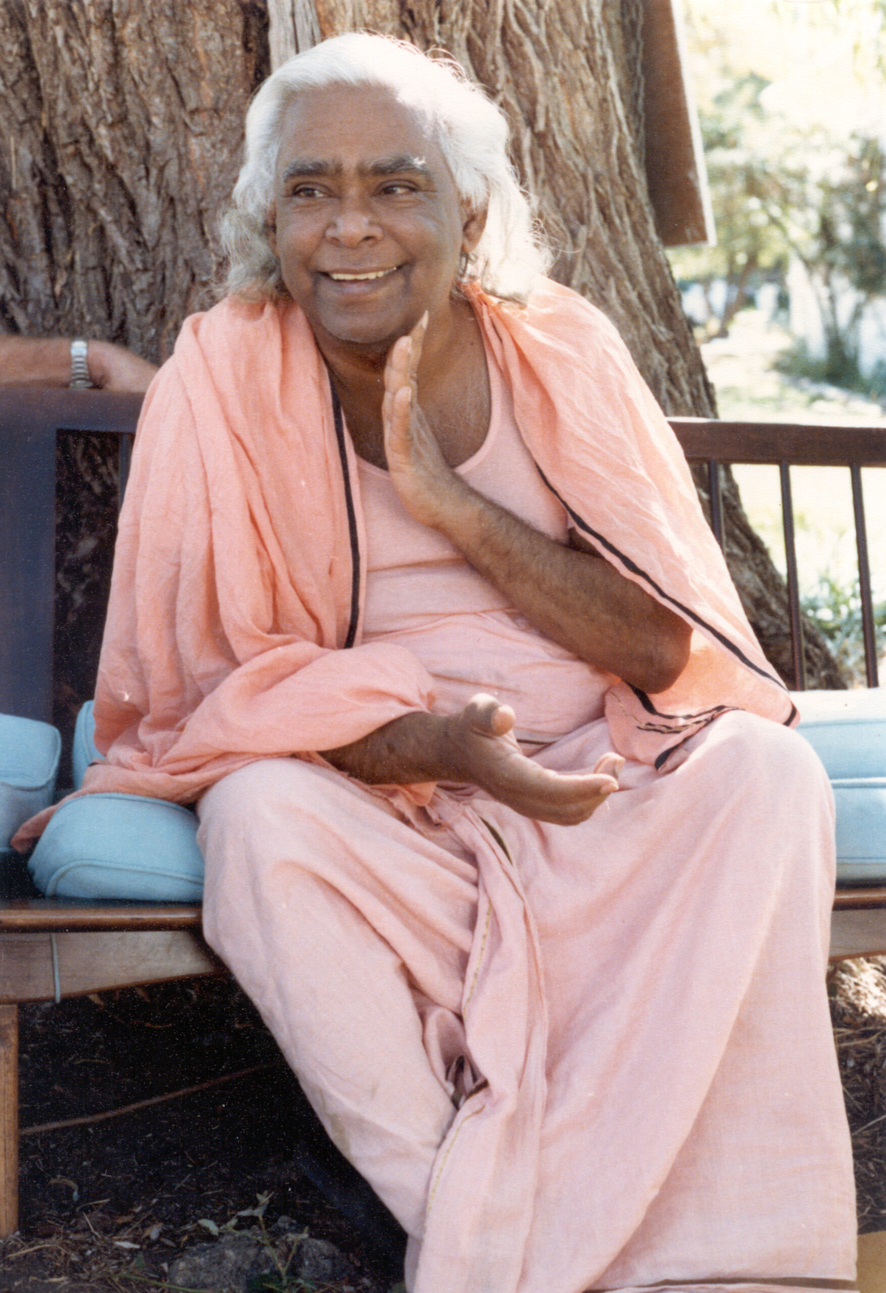 Who Was Swami Vishnudevananda?