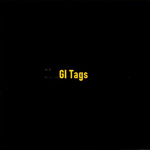 What Is GI Tag?