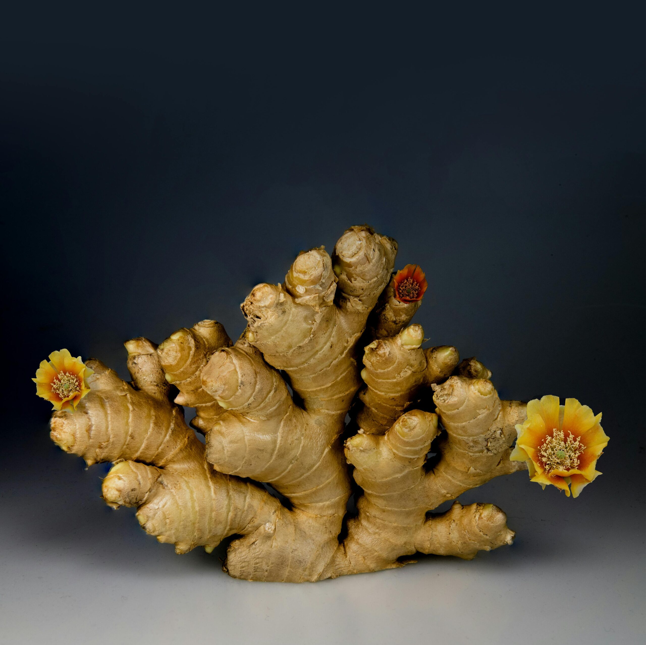Ginger: The Ancient Root with Modern Relevance