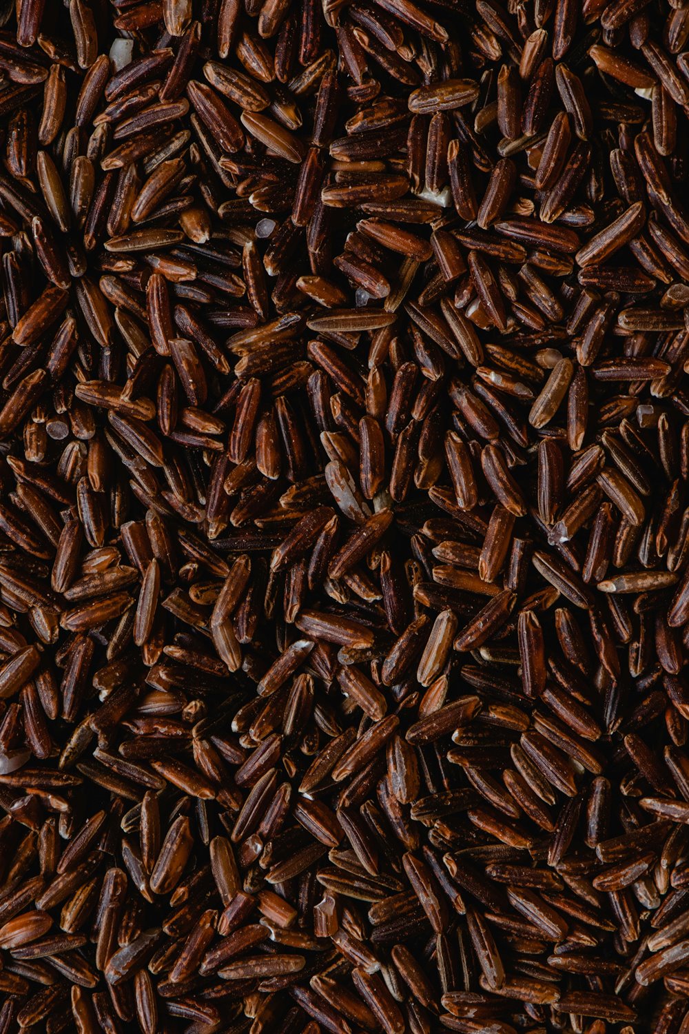The Health Advantages of Red Rice: A Science-Backed Review