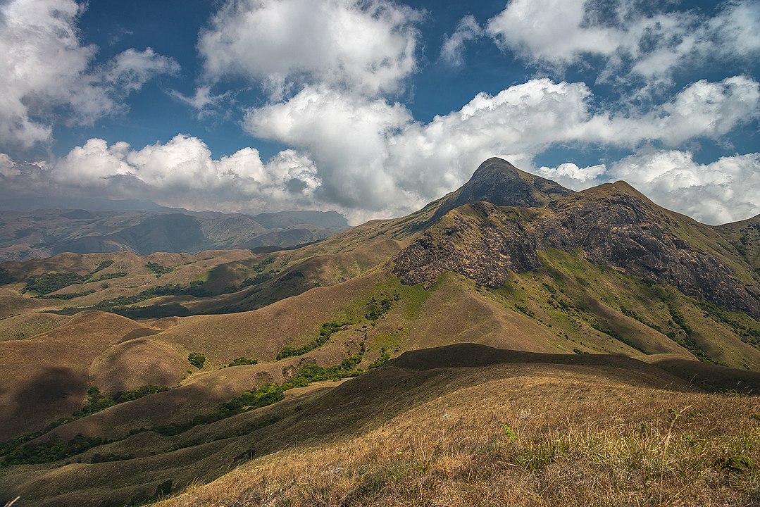 Hill Stations in Kerala – A Complete Travel Guide