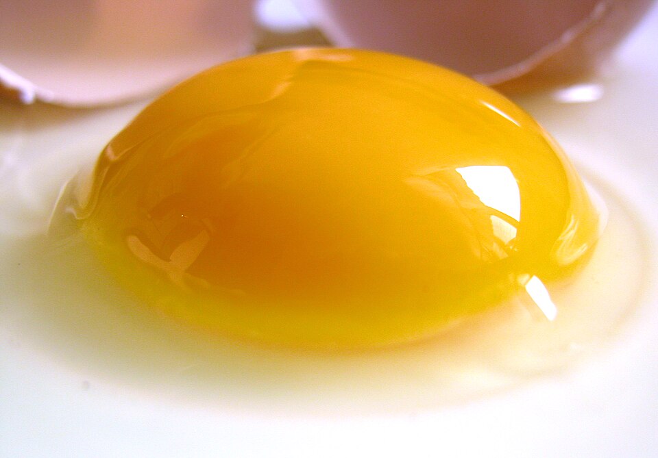 Top Foods Rich in Vitamin D: The Sunshine Nutrient You Can Eat