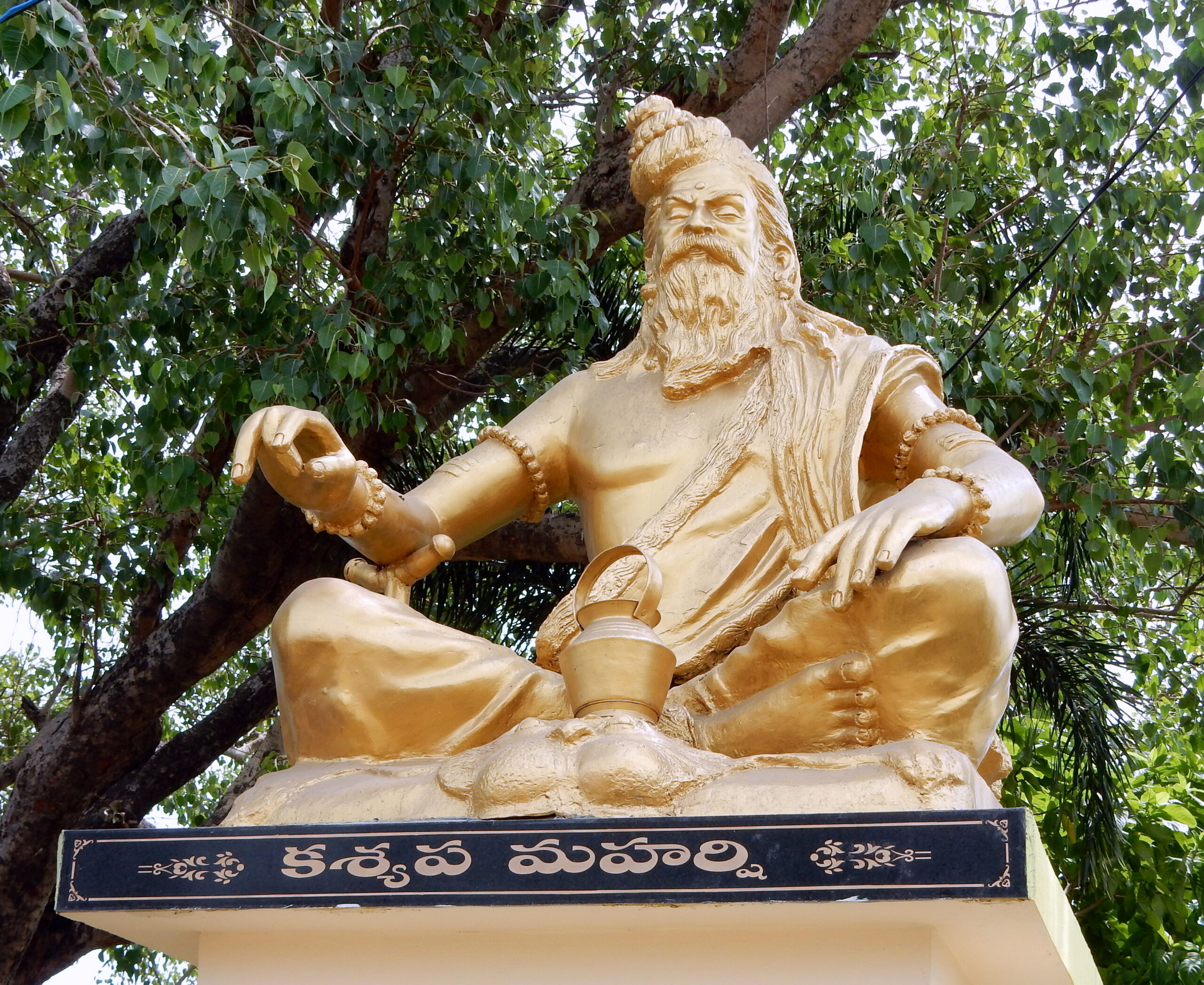 Maharishi Kashyapa: The Progenitor Sage of Life and Creation