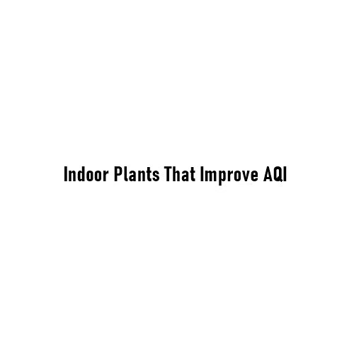 Indoor Plants That Improve AQI: Natural Air Purifiers for a Healthier Home