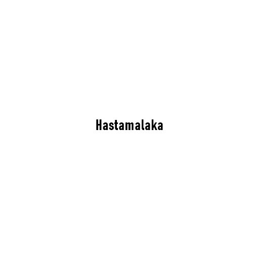 Hastamalaka: The Child Sage Who Embodied Living Advaita