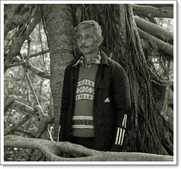 Hally War: The Guardian of Meghalaya’s Living Root Bridges and His Padma Shri Journey