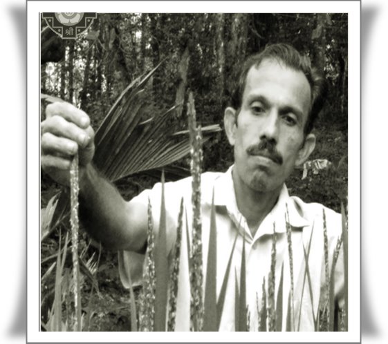 Sathyanarayana Beleri: The Farmer Who Became India’s Paddy Gene Bank