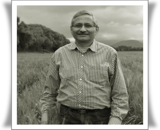 Dr. Ravi Prakash Singh: The Indian Scientist Who Helped Feed the World