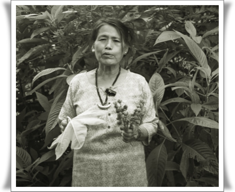 Yanung Jamoh Lego: Reviving Faith in Indigenous Herbal Healing