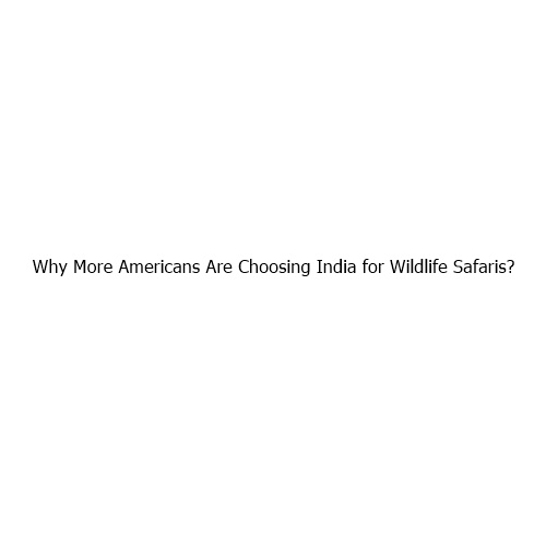Why More Americans Are Choosing India for Wildlife Safaris?