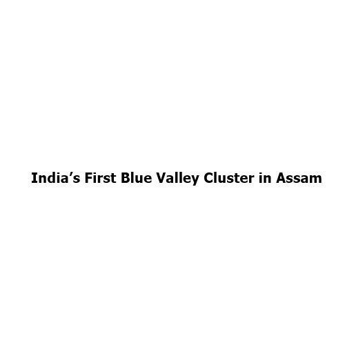India’s First Blue Valley Cluster Launches in Assam: A New Era for Northeast India