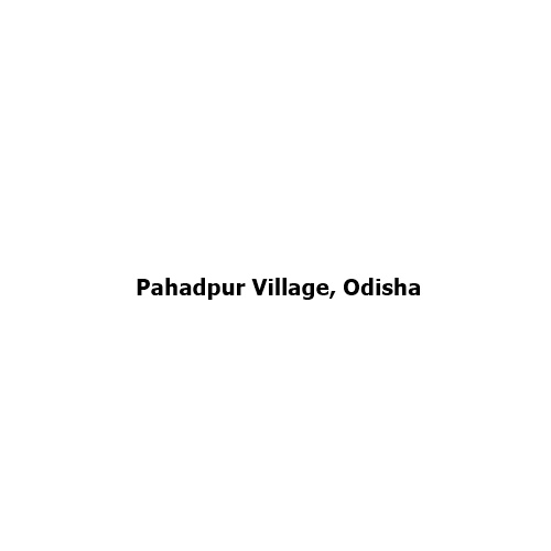 Pahadpur Village, Odisha: The Tribal Village That Gained National Recognition